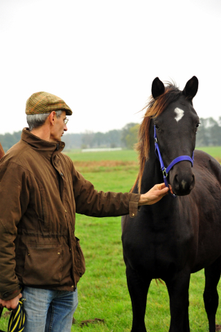 Jhrlingsstute v. Saint Cyr u.d. Prmien- u. Elitestute Greta Garbo im Gestt Schplitz im Oktober 2016  - Foto: Beate Langels -
Trakehner Gestt Hmelschenburg