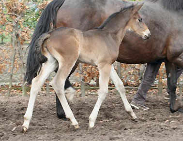 Salsa - 11 Tage alt, Foto: Lune Jancke