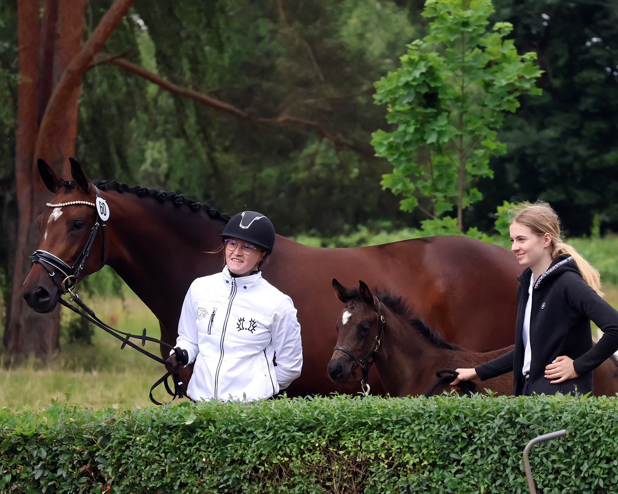 Karidia - Trakehner Prmienstute von Saint Cyr u.d. Pr.St. Karida v. Oliver Twist - Foto: Beate Langels - Trakehner Gestt Hmelschenburg