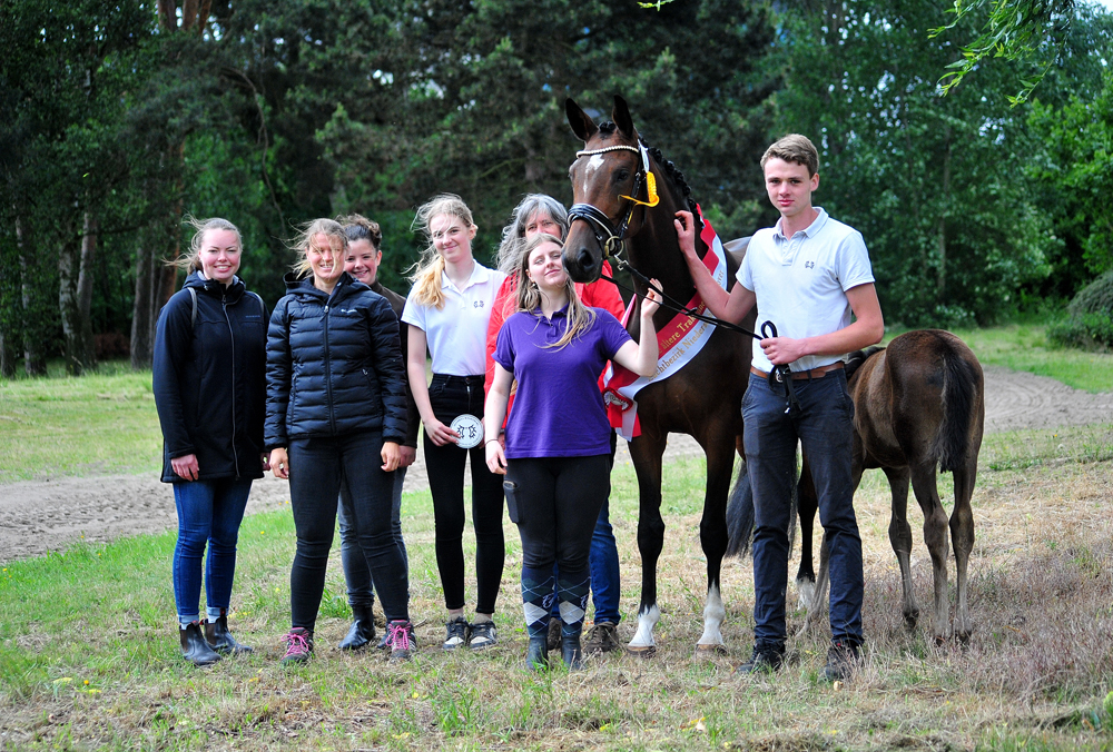 Karidia - Trakehner Prmienstute von Saint Cyr u.d. Pr.St. Karida v. Oliver Twist - Foto: Beate Langels - Trakehner Gestt Hmelschenburg