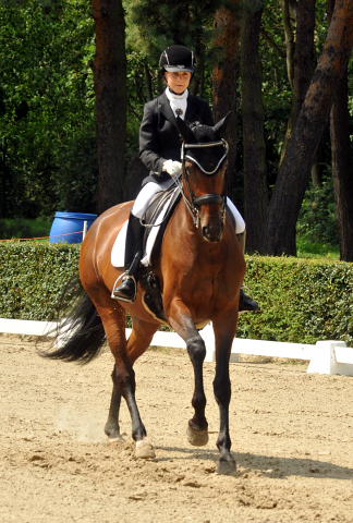 Sacre de L'Est v. Freudenfest - Gestt Schplitz - copyright Beate Langels, Trakehner Gestt Hmelschenburg