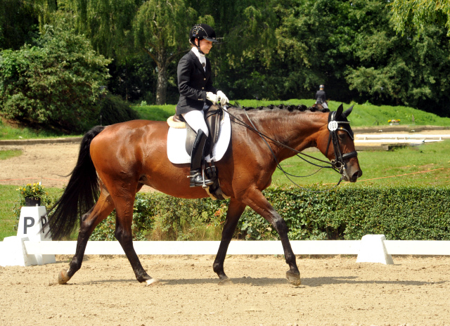 Sacre de L'Est v. Freudenfest - Gestt Schplitz - copyright Beate Langels, Trakehner Gestt Hmelschenburg