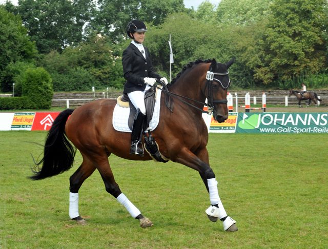 Sacre de L'Est v. Freudenfest - Gestt Schplitz - copyright Beate Langels, Trakehner Gestt Hmelschenburg