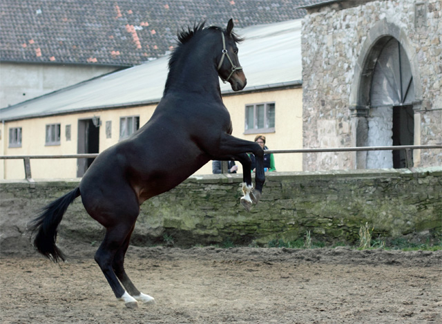 Saint Cyr hat Spa - Foto: Annette Andrysek