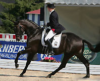 Scharmeur v. Schwadroneur, Foto Eurodressage