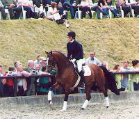 Freudenfest v. Tolstoi