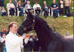 Kildare v. Alter Fritz - Kostolany