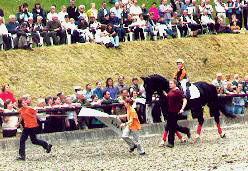 Kostolany, der 3-jährige Jan-Hendrik, Inga, Pia und Patricia