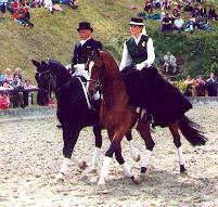 Kostolany und Freudenfest