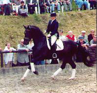 Kapriolan v. Exclusiv