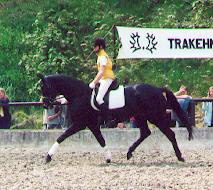 Vicenza v. Showmaster - Honeur (3-jhrig)