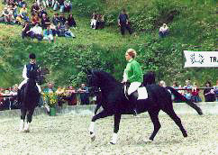 Kronberg v. Kostolany - Sandro