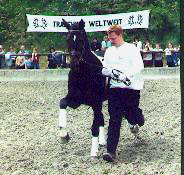Exclusiv und Fabian
