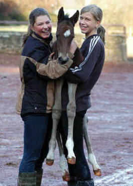 Trakehner Filly by Kostolany out of Schwalbenfeder by Summertime