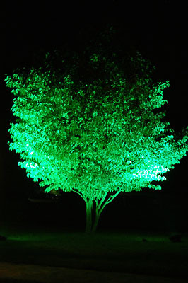 Schlo Hmelschenburg, Foto: Beate Langels - Trakehner Gestt Hmelschenburg