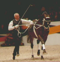 Galaabend Neumünster 2003: Der 72jährige Otto Langels und sein 20jähriger Schwadroneur, Foto: Werner Ernst