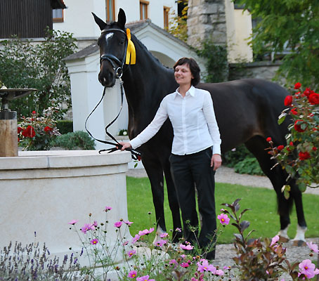 Schwalbenmrchen v. Kostolany u.d. Schwalbenfeder v. Summertime, Trakehner Gestt Hmelschenburg, Foto: Gutmann