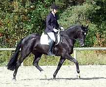 Schwalbenmagie v. Exclusiv u.d. Schwalbenfee v. Freudenfest u.d. Pr.St. Schwalbenlust v. Enrico Caruso, Foto: Beate Langels