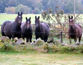 bei Familie Kemna