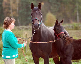 Agnes Kemna mit Germania und ihrem Stutfohlen v. Summertime