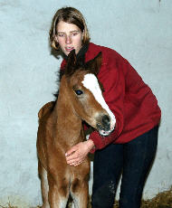 Filly by Freudenfest