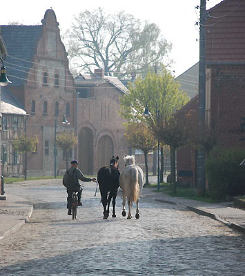 Unterwegs in Schplitz: Gesttsoberwrter Krause, Foto: Sabine Langels