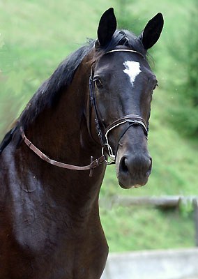 S�ntelgl�ck von Alter Fritz - Kostolany