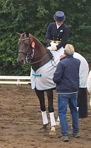 Sunny Mood von Symont u.d. Beloved v. Kostolany - Foto: Beate Langels - Trakehner Gestt Hmelschenburg