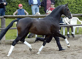 Shavalou v. Freudenfest u.d. Elitestute Schwalbenspiel v. Exclusiv