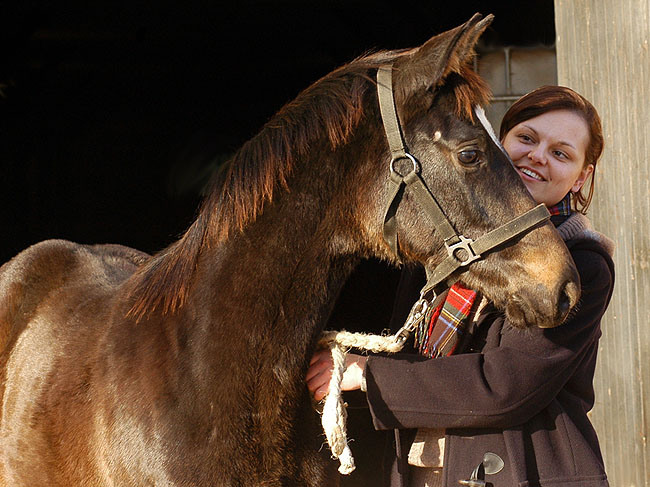 Schwalbenmrchen by Kostolany out of Pr. and StPrSt. Schwalbenfeder by Summertime, Trakehner Gestt Hmelschenburg