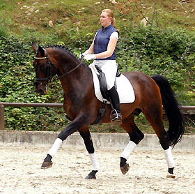 Grand Prix Sieger Showmaster von Kostolany - Ibikus