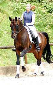 Grand Prix Sieger Showmaster von Kostolany - Ibikus