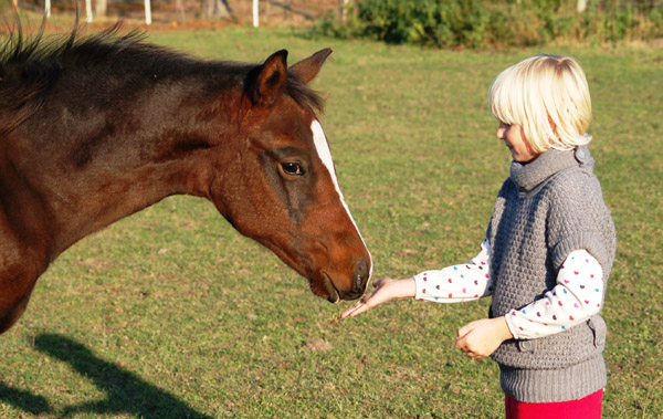 Trakehner Stutfohlen v. Symont u.d. Kayenne Klassic v. Exclusiv, Zchter: Sylvia Laidlaw