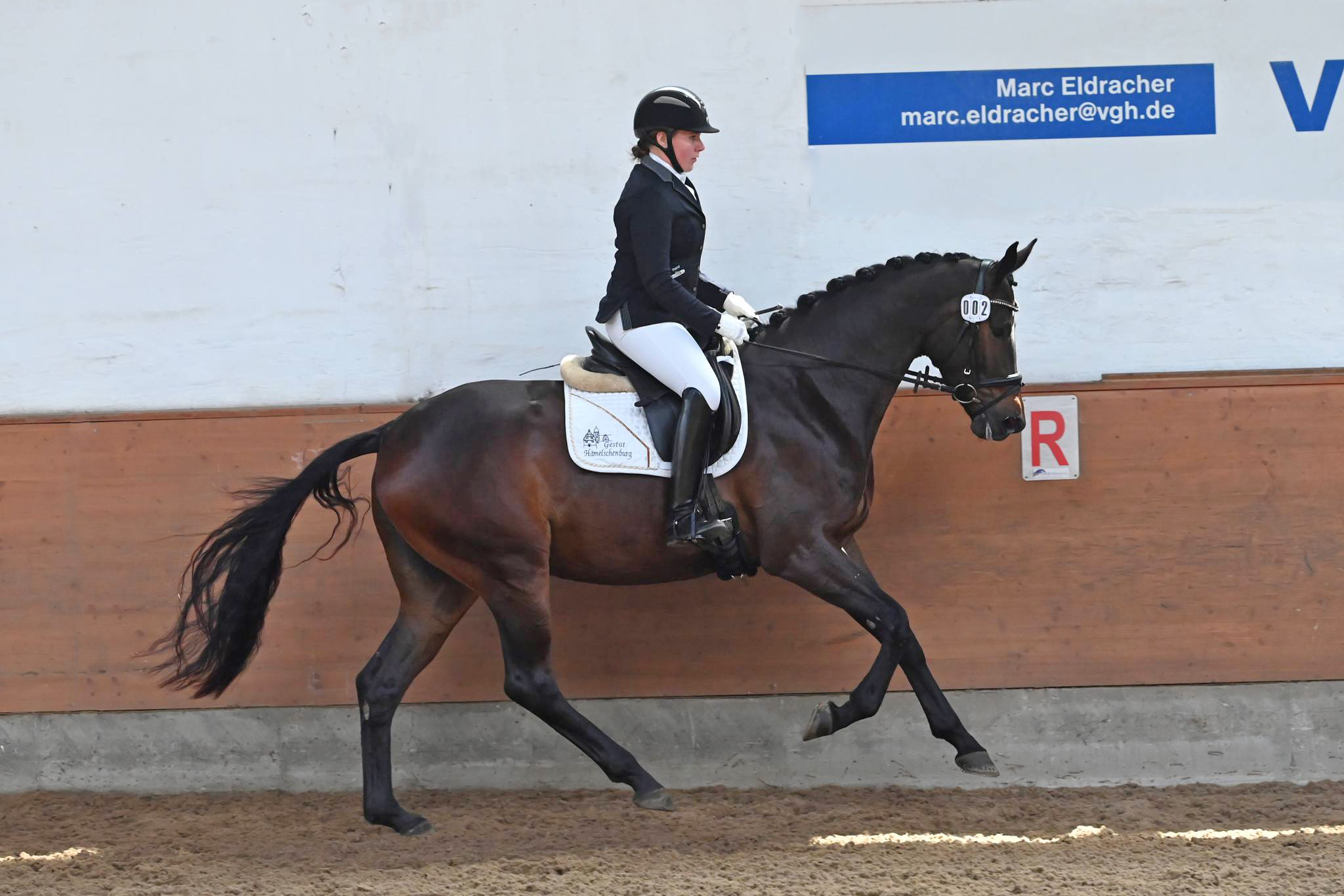 Pr.St. Valentiana v. His Moment u.d. Valentine v High Motion - Beate Langels - Trakehner Gestt Hmelschenburg