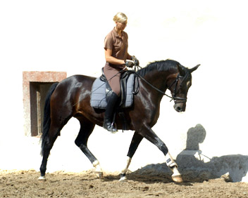 Schwalbenmärchen v. Kostolany u.d. Schwalbenfeder v. Summertime, Trakehner Gestüt Hämelschenburg