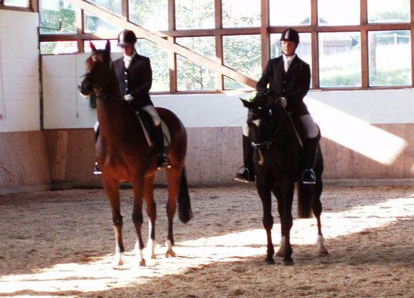 Snapper v. Kostolany