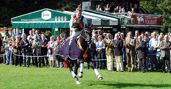 Bundeschampion 2010: Trakehner Siegerhengst Songline v. Summertime u.d. Pr.St. Schwalbenspiel v. Exclusiv, Züchter: Gestüt Hämelschenburg Foto: Beate Langels