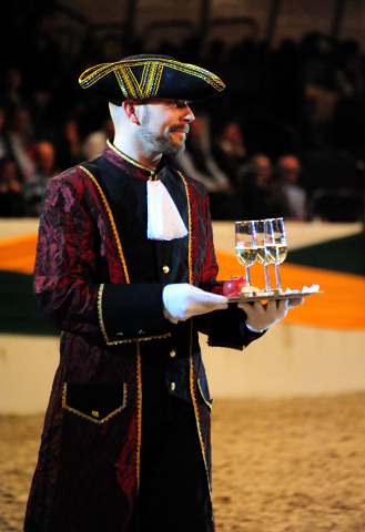 SERGEANT PEPPER TSF v. Exclusiv - Verabschiedung aus dem Sport - 54. Trakehner Hengstmarkt 2016 - Foto: Beate Langels -
Trakehner Gestt Hmelschenburg