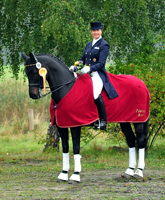 Sergeant Pepper TSF - Zum Karriereabschlu nochmal ein Sieg in der Dressur Kl. S**