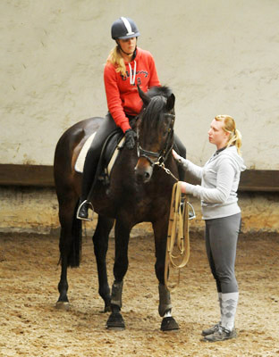 Trakehner von Meraldik u.d. Schwalbenflair v. Exclusiv