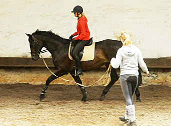 Trakehner von Meraldik u.d. Schwalbenflair v. Exclusiv