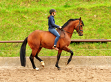 Impressionen vom Mai 2020 - Trakehner Gestt Hmelschenburg 2020 - Foto: Beate Langels