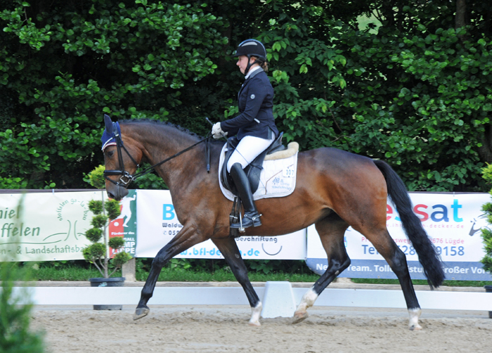 Taluna - Trakehner Prmienstute von Alter Fritz u.d. Pr.u.StPrSt. Tacyra v. 
Saint Cyr - Foto: Beate Langels - Trakehner Gestt Hmelschenburg