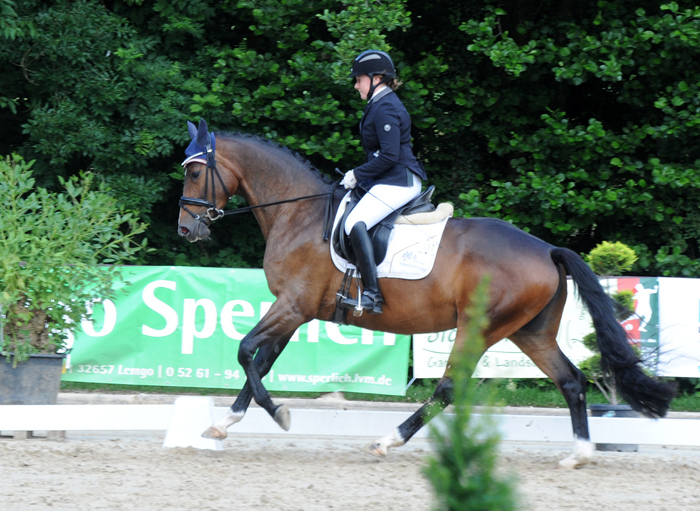 Taluna - Trakehner Prmienstute von Alter Fritz u.d. Pr.u.StPrSt. Tacyra v. 
Saint Cyr - Foto: Beate Langels - Trakehner Gestt Hmelschenburg