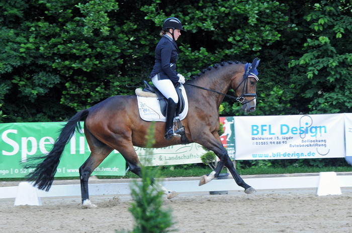 Taluna - Trakehner Prmienstute von Alter Fritz u.d. Pr.u.StPrSt. Tacyra v. 
Saint Cyr - Foto: Beate Langels - Trakehner Gestt Hmelschenburg