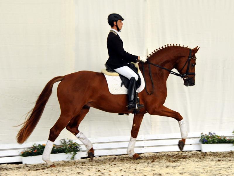 Tudor und Sascha Boehnke - Foto: Beate Langels