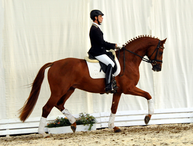 Tudor und Sascha Boehnke - Foto: Beate Langels