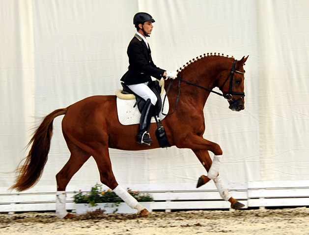 Tudor und Sascha Boehnke - Foto: Beate Langels