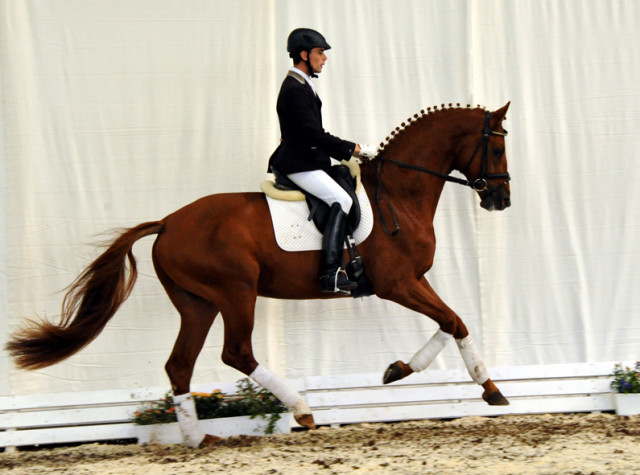 Tudor und Sascha Boehnke - Foto: Beate Langels