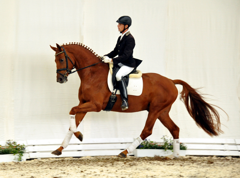 Tudor und Sascha Boehnke - Foto: Beate Langels